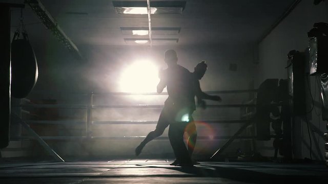 Boxers training in the ring silhouette