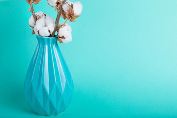Cotton flowers close up on turquoise background