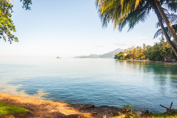Beautiful seascape view from green island with coconut palms