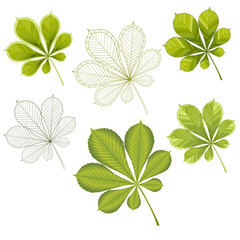 colorful mosaic chestnut leaves. isolated. easy to modify. vector illustration.