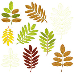 colorful mosaic rowan leaves. isolated. easy to modify. vector illustration.