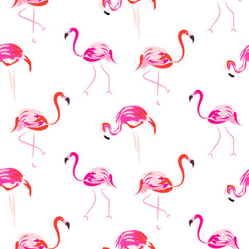 Hand drawn pink flamingo seamless pattern vector. Tropic birds on white with brush strokes and hand painted coral plumage decoration.