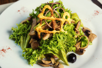 Salad with chicken, mushrooms and leaves of Iceberg lettuce and olives . Serving dishes in a restaurant, European cuisine, European restaurant, pub