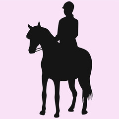 Equestrian sport, woman in gear sitting on a horse  vector silhouette isolated 