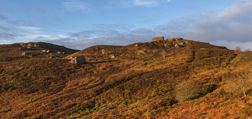 Pathways to the Drake Stone, near Harbottle Village in the county of Northumberland, England, UK.