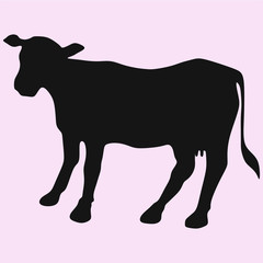 cow, vector silhouette isolated