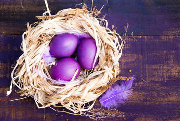 Purple Easter eggs in nest,  feathers on dark wooden background.