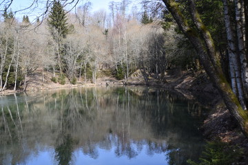 Kleiner See in Frühlingsluft