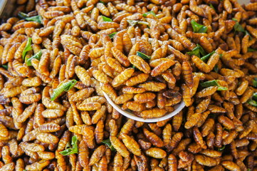 Worm insect fried crispy / fried silk worms bamboo insect protein rich food - Pupa , Chrysalis in...