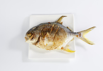 Yellow pomfret isolated on white background