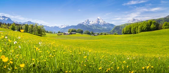 Keuken foto achterwand Pistache Idyllisch landschap in de Alpen met bloeiende weiden in de zomer