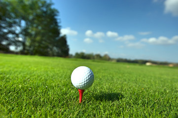 Golf ball on tee