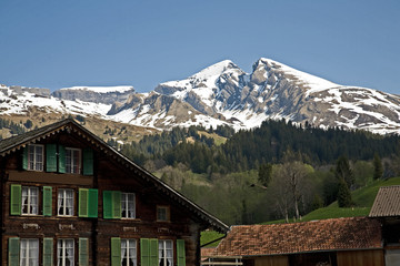 Fototapeta na wymiar Schwarzhorn mountain. High in the Grindelwald valley.