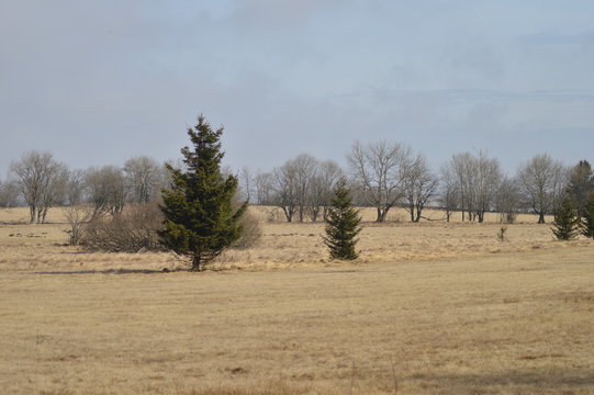 Moor und Heide Landschaft warten auf Fr&uuml;hling