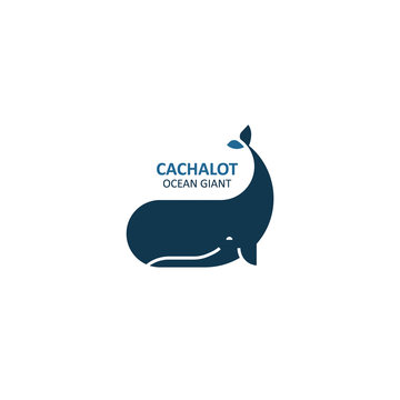 Cachalot logo. Whale icon. Vector illustration.