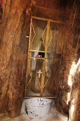 Gordijnen Keren in Eritrea with Shrine of St. Mariam Dearit  inside a trunk of an ancient baobab tree with a statue of the Virgin Mary inside.    © robnaw
