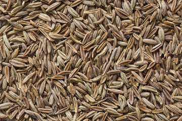Grains of ziri (cumin)