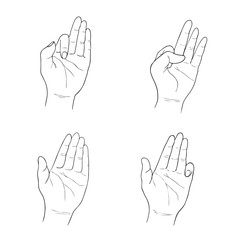 Set of Sketch Human Hand Gestures on White Background