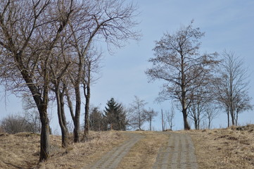 Verfallene Grenzanlage Deutschland