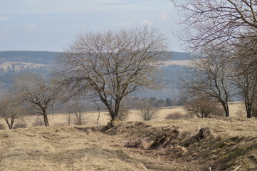 Moor- und Heidelandschaft