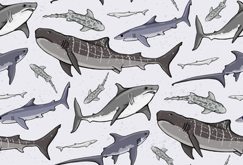 seamless pattern with colored sharks on white background
