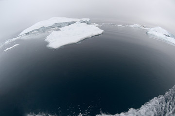 Icebegrs at Arctic Ocean in Greenland