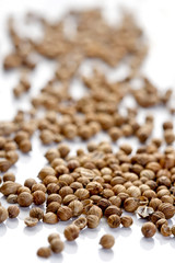 Close up of dried mustard seeds