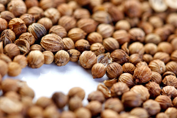 Close up of dried mustard seeds