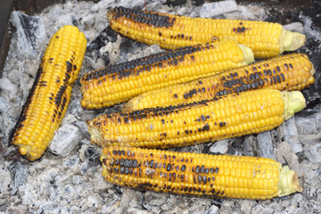 Grilled sweet corn