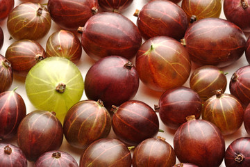 Close up of gooseberrys on white background