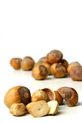 Studio shot of hazelnuts at white background