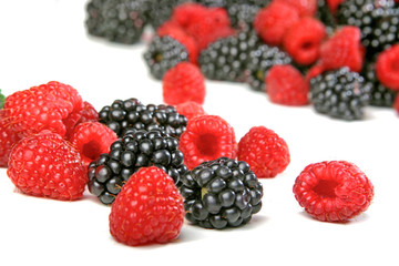 Raspberries and blackberries on white background