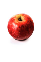 Studio shot of apples on white background