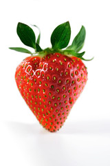 Studio shot of strawberry on white background