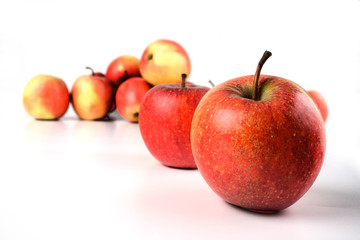 Studio shot of apples on white background