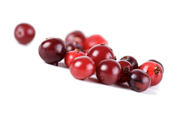 Cranberries on white background - studio shot