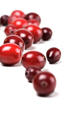Cranberries on white background - studio shot