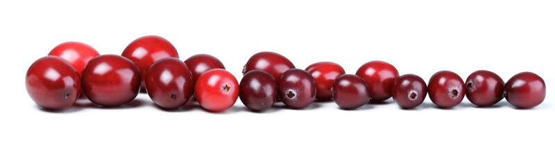 Close-up of cranberries on white background