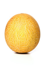 Melon on white background - studio shot