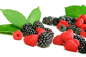 Blackberries and raspberries on white background