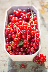 Punnet of red currant
