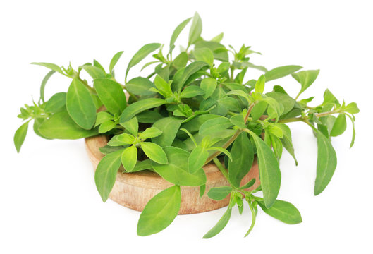 Thyme leaves in a wooden bowl