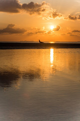 Fototapeta premium Sunset with couple dog