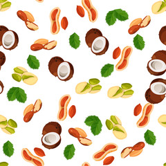 illustration of nuts