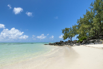 DSC05939_Ile Aux Cerf