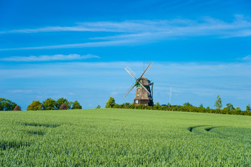 Farver Mühle bei Wangels