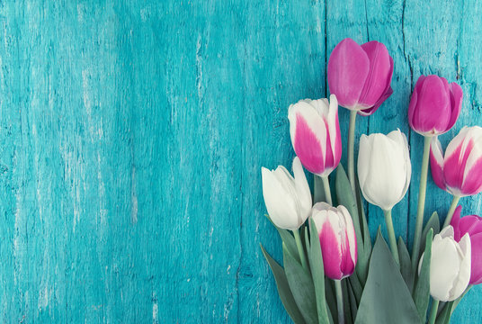 Frame of tulips on turquoise rustic wooden background. Spring flowers. Greeting card for Valentine's Day, Woman's Day and Mother's Day. Top view