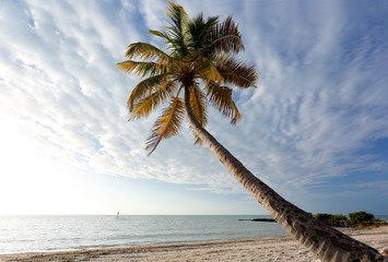 Smathers Beach at Early Morning. Smathers Beach is the largest public beach in Key West, Florida, United States. It is approximately a half mile long