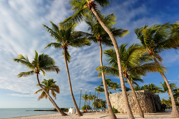 Palm Tree and Beach at Smathers Beach at Twilight. Smathers Beach is the largest public beach in Key West, Florida, United States. It is approximately a half mile long
