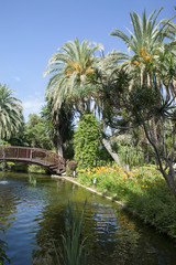 Fototapeta na wymiar Beautiful secret garden with lush vegetation and a small pond with wooden bridge